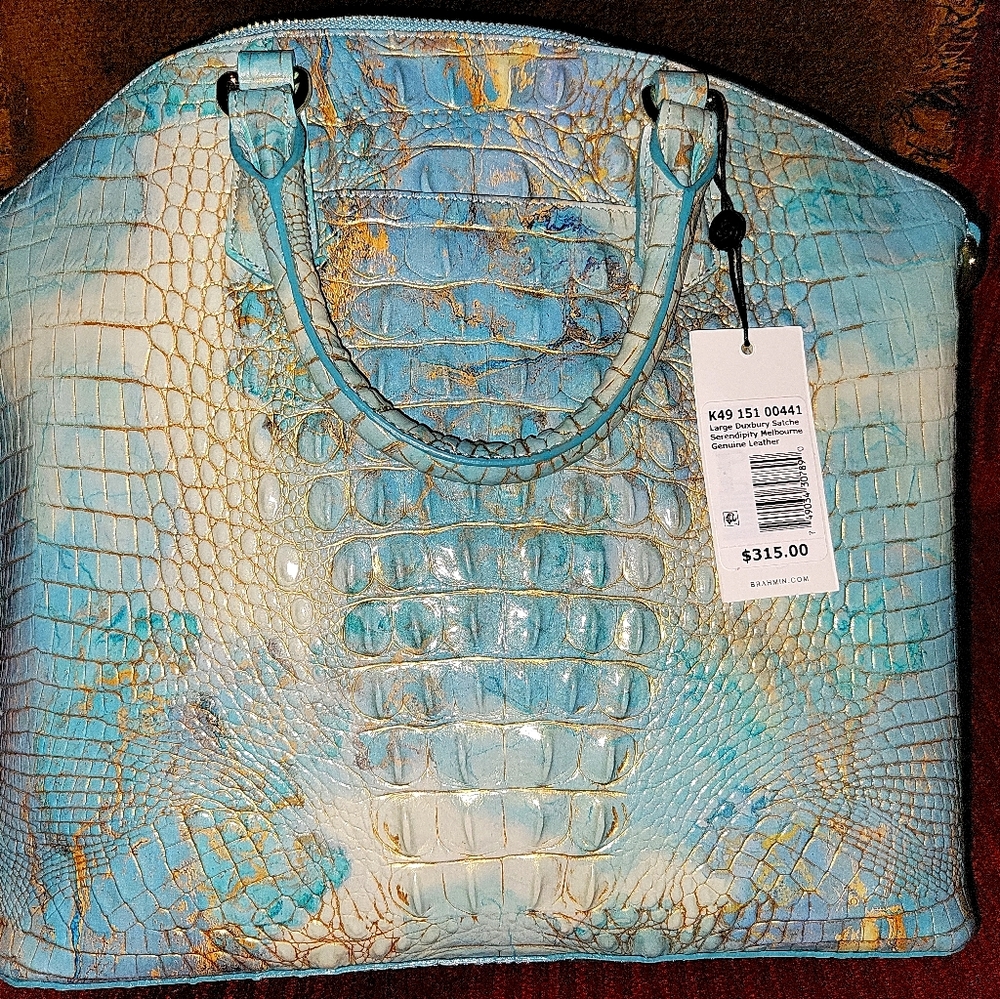 Multicolor Brahmin and wallet